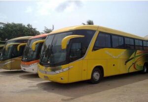 A fleet of buses owned by The Young Shall Grow Motors