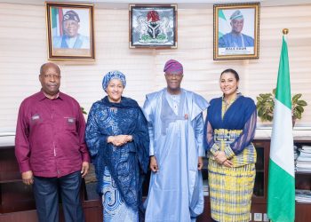 UN deputy scribe, finance minister discuss African free trade