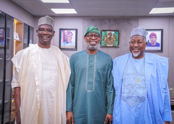 Nasarawa pivotal to minerals development – Alake