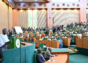 Tinubu honours Kudirat Abiola, other heroes of democracy