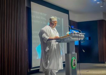 Nigeria urges stronger regional action against terrorism in Ecowas, Sahel