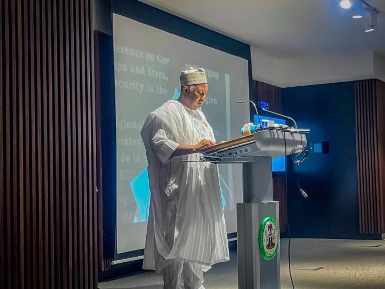 Nigeria urges stronger regional action against terrorism in Ecowas, Sahel