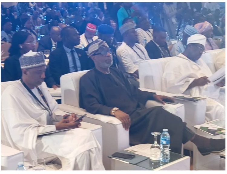 Solid minerals diversification: FG earmarks extra N1tr for exploration, surveys