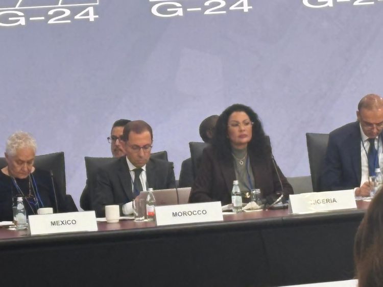 G24 meetings: Finance minister, CBN governor showcase Nigeria’s economic strides