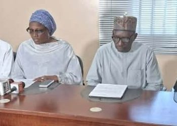 American Intervention: Summary of Press Statement by Concerned Nigerian Citizens 