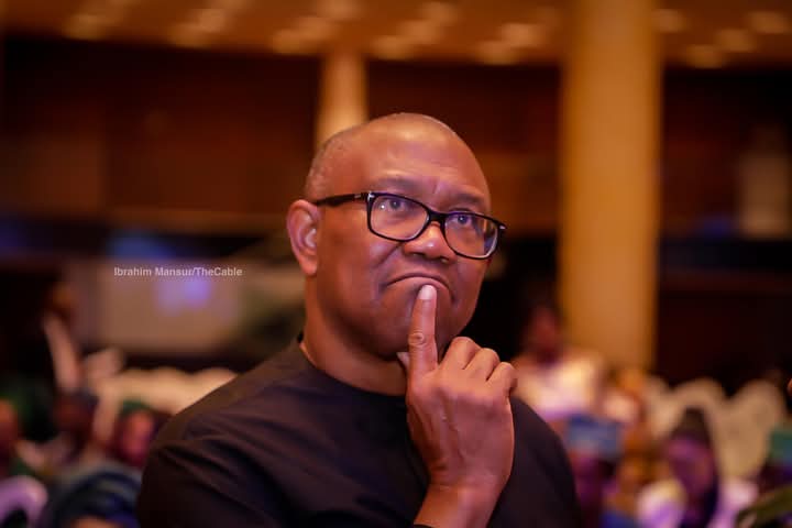 Peter Obi, other Igbo leaders formally join ADC in Enugu