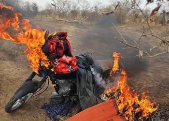 Nigerian Army overruns alleged bandits’ camps, captures families in Bauchi forest