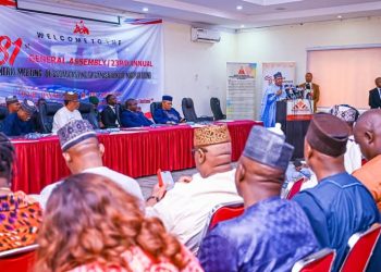 Nigeria not on brink of collapse, we are showing resilience and progress – Minister