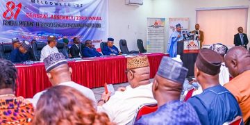 Nigeria not on brink of collapse, we are showing resilience and progress – Minister