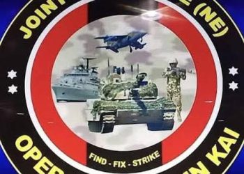 Army commander, six soldiers killed by IED in Borno