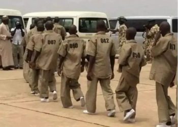 ADC raps Tinubu government’s terrorist reintegration plan, says it exposes dangerous softness on terror