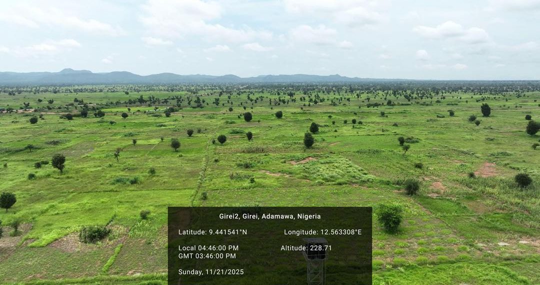 From degraded lands to resilient futures: Nigeria’s ACReSAL Project delivers landmark mid-term climate and livelihood gains